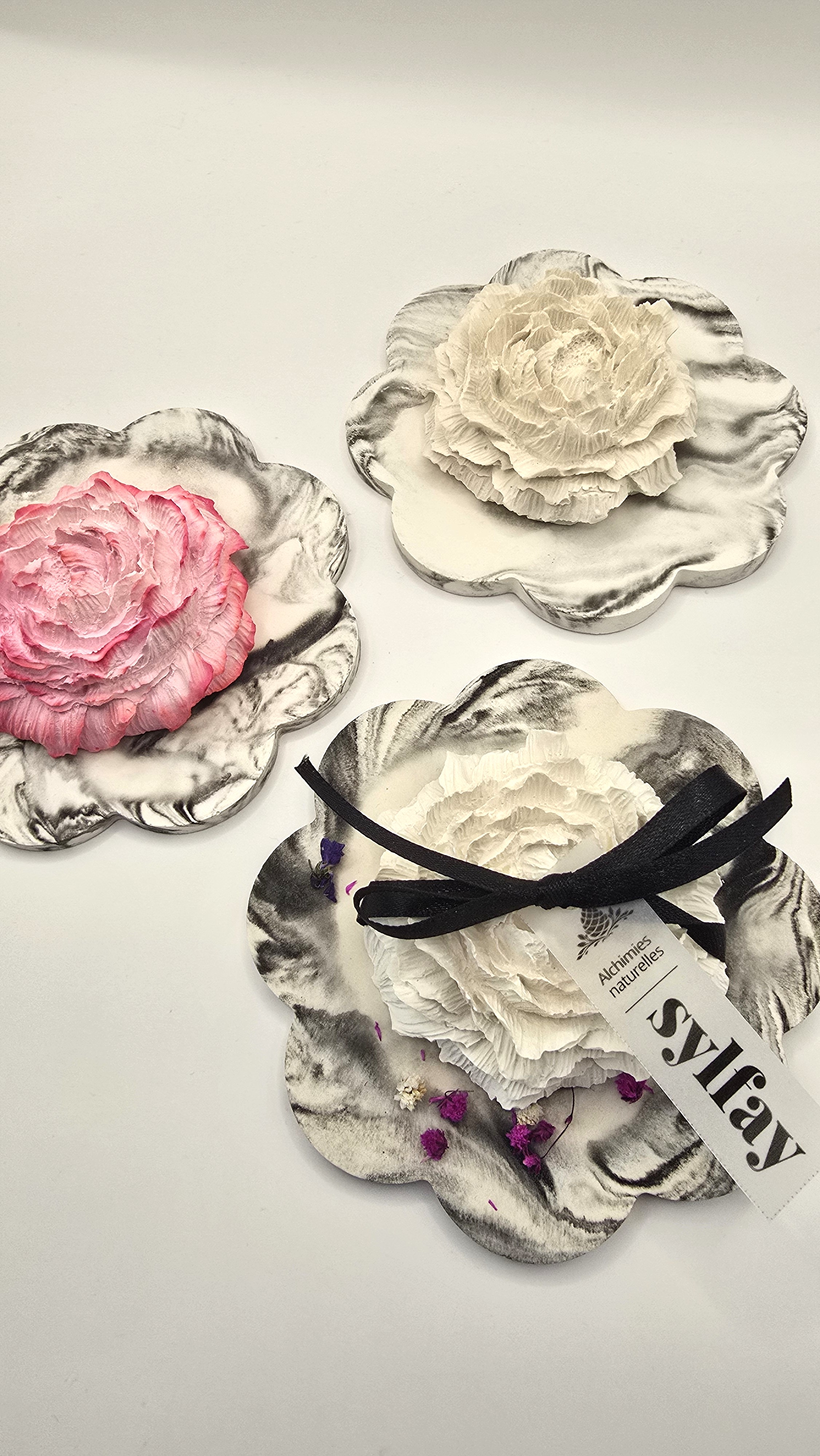 Rose – vue 12