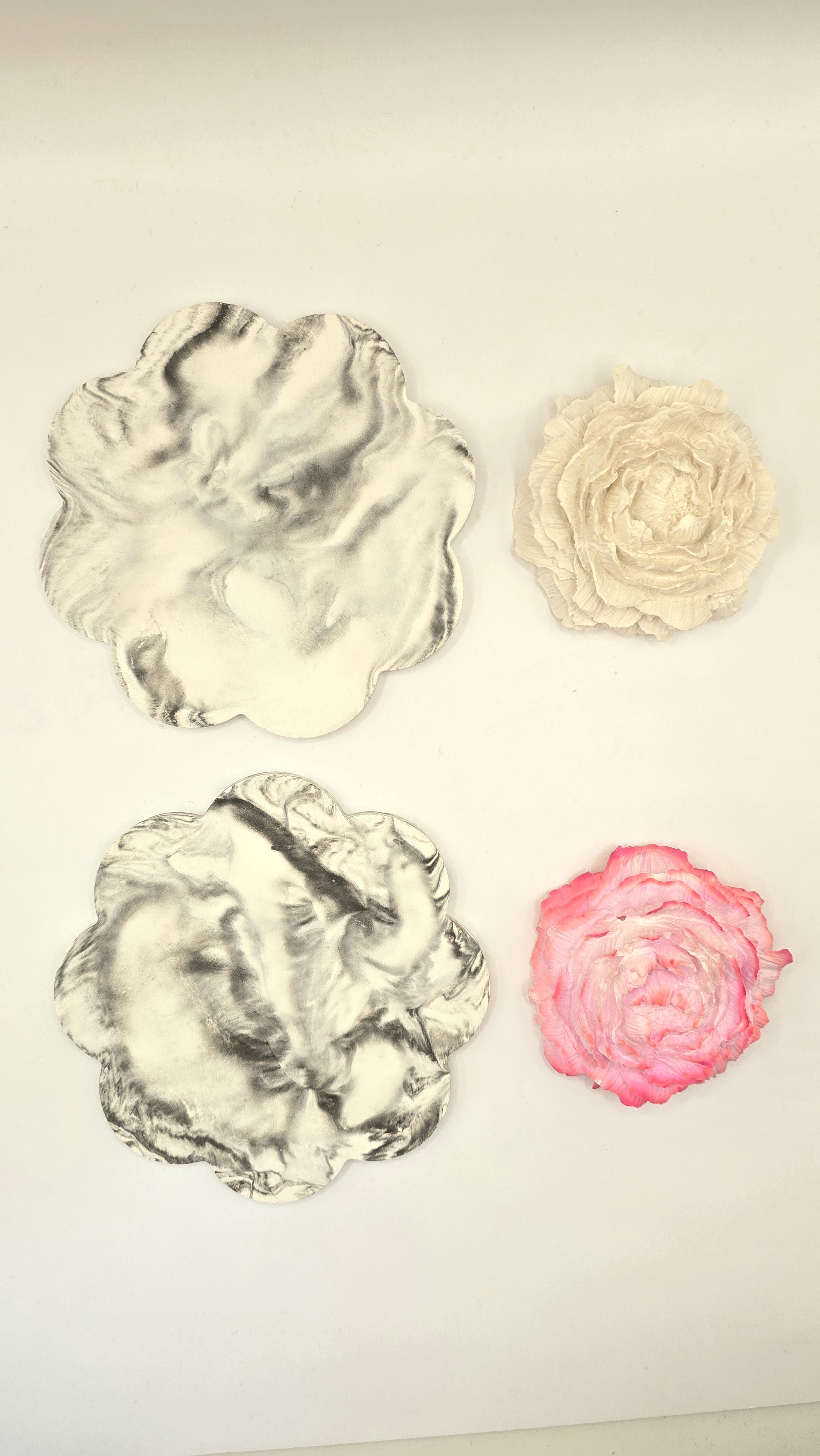 Rose – vue 11