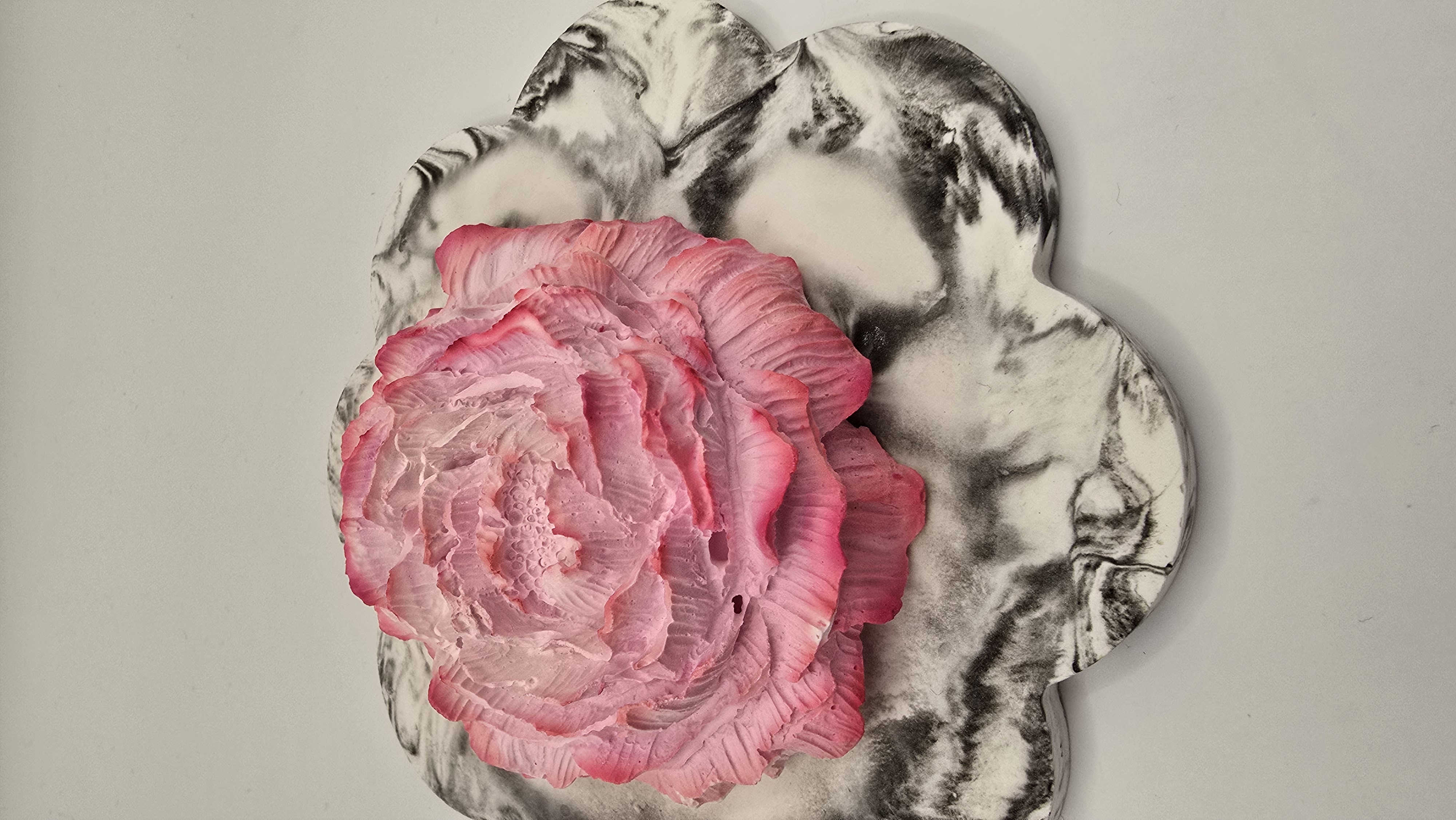 Rose – coloris