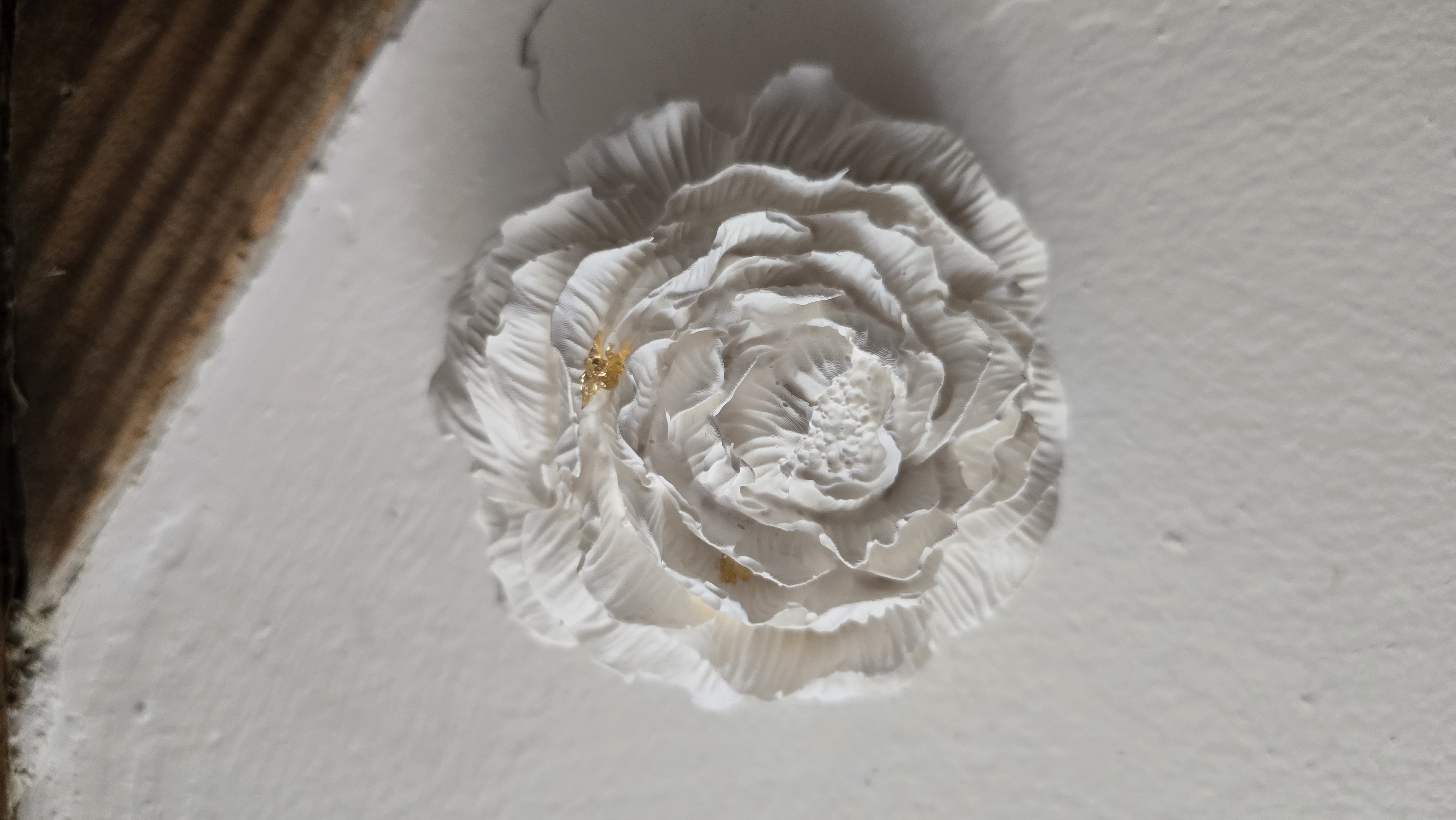 Rose – ambiance